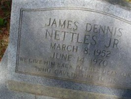 James Dennis Nettles, Jr James Dennis Nettles, Jr