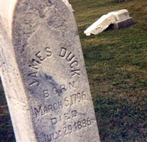 James Duck