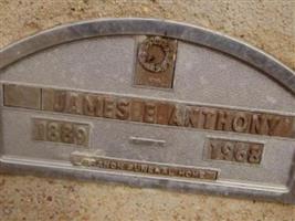 James E. Anthony