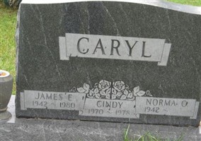 James E Caryl James E Caryl
