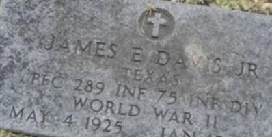James E. Davis, Jr James E. Davis, Jr