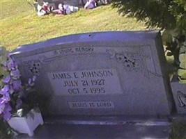 James E. Johnson James E. Johnson
