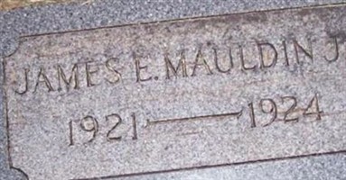 James E Mauldin, Jr James E Mauldin, Jr