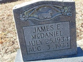 James E McDaniel James E McDaniel