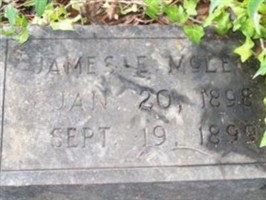 James E McLeod James E McLeod
