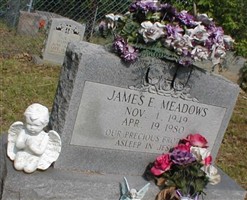 James E. Meadows