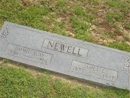 James E Newell