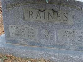 James E. Raines