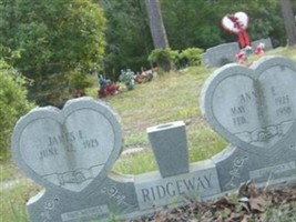 James E Ridgeway