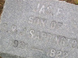 James E Sappington
