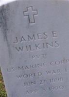 James E Wilkins