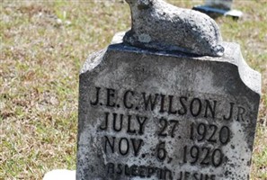 James E C Wilson, Jr James E C Wilson, Jr