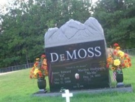 James Edward DeMoss, Sr James Edward DeMoss, Sr
