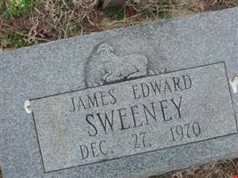 James Edward Sweeney