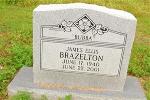 James Ellis Brazelton