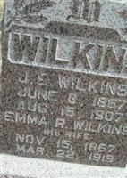 James Elmer Wilkins (1888666.jpg)