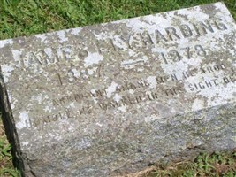 James Ely Harding