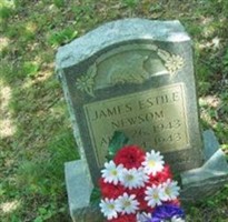 James Estill Newsome