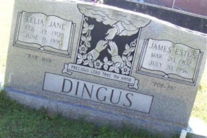 James Estus Dingus James Estus Dingus