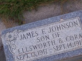 James F Johnson