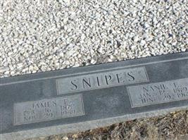 JAMES F SNIPES