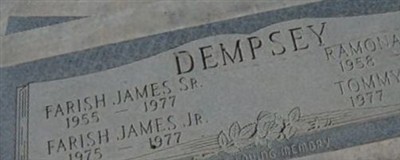 James Farish Dempsy, Jr James Farish Dempsy, Jr