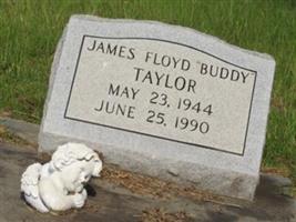 James Floyd Taylor