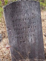 James Francis Spriggs James Francis Spriggs