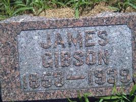 James Gibson