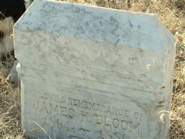 James H Bloom