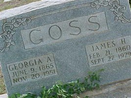 James H Goss (1912195.jpg) James H Goss (1912195.jpg)