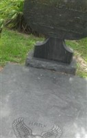 James H "Hank" Tillman