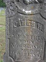 James H. Matthews