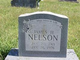 James H Nelson