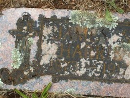 James Harris James Harris