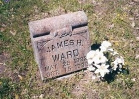 James Harris Ward