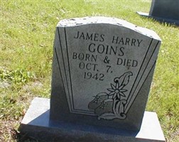 James Harry Goins