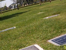 James Harvey Robertson, III