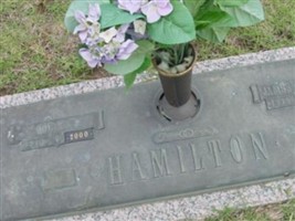 James Haskell Hamilton