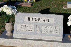 James Henry Hildebrand
