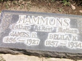 James Henry "Toby" Hammons