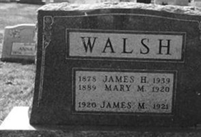 James Henry Walsh, Jr James Henry Walsh, Jr