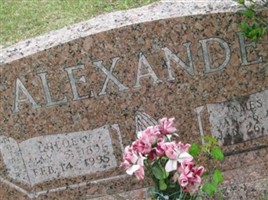 James J Alexander James J Alexander