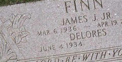 James J Finn, Jr