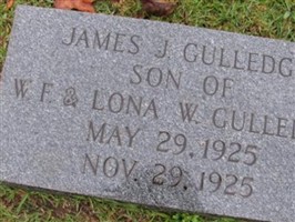 James J. Gulledge