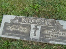 James J Novak