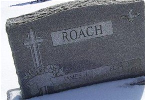 James J Roach James J Roach