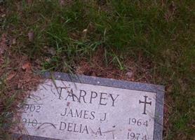 James J Tarpey