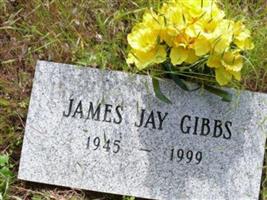 James Jay Gibbs