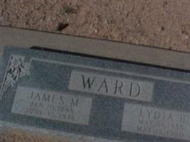 James "Jim" Madison Ward